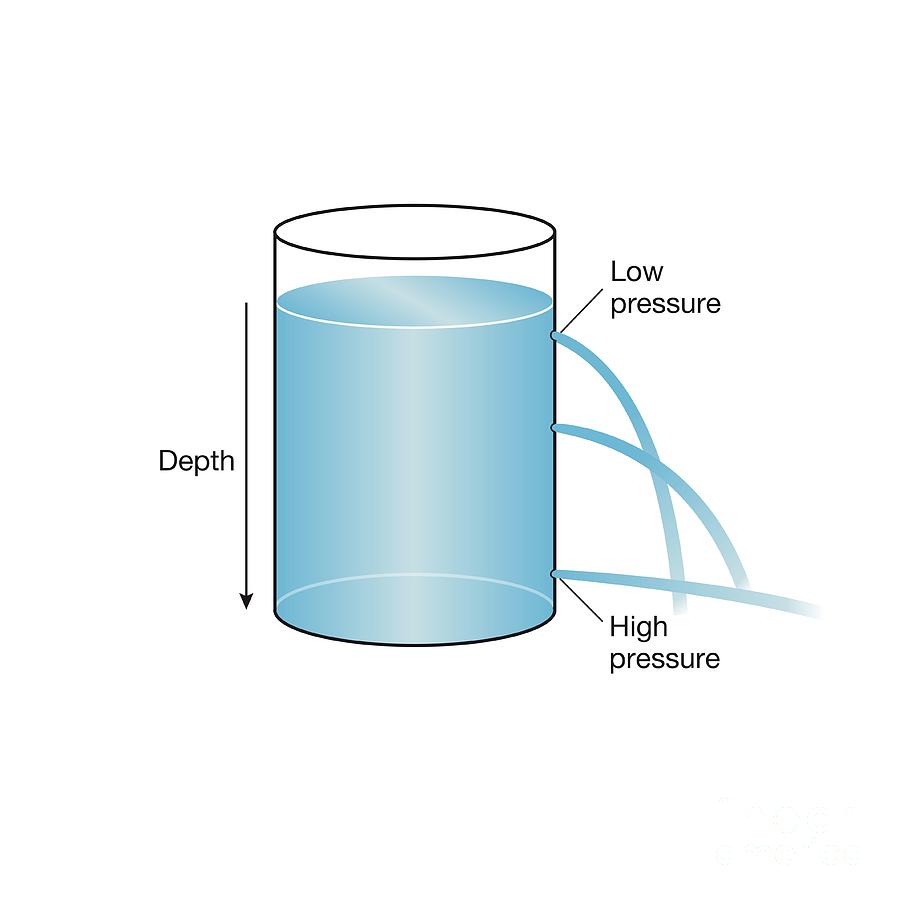 Hydrostatic Pressure #1 Photograph by Science Photo Library