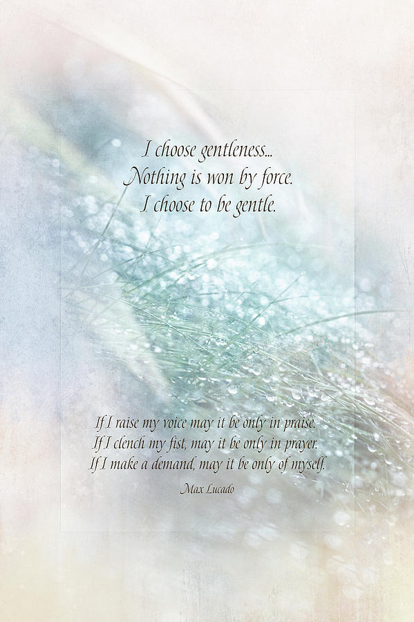 I Choose Gentleness Quote Digital Art by Terry Davis