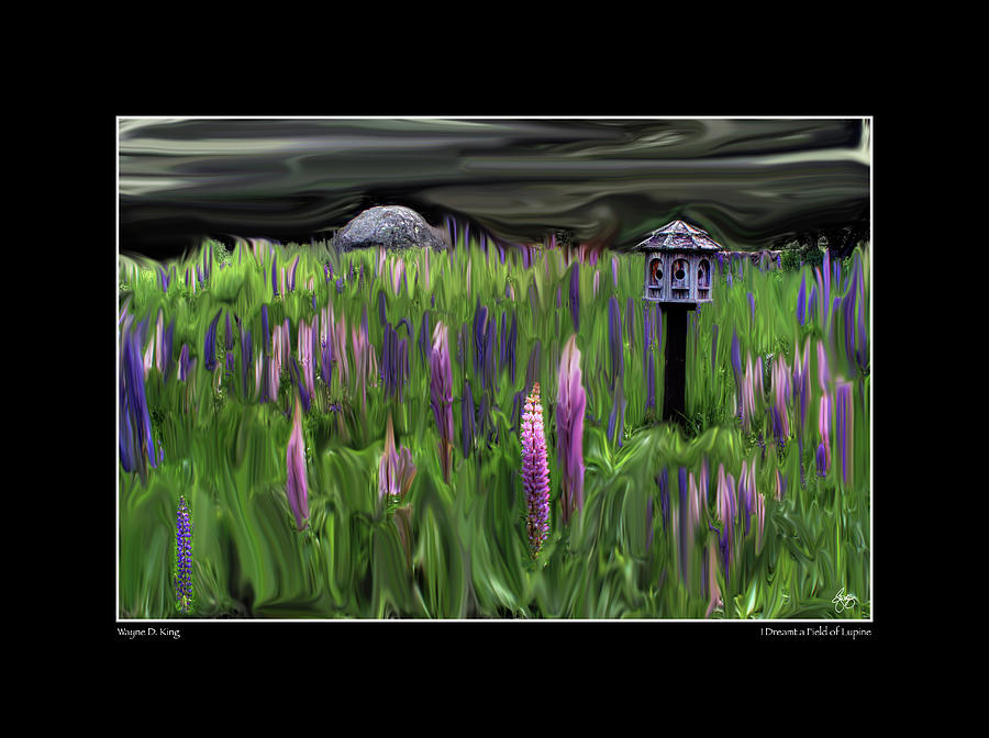 I Dreamt a Field of Lupine #1 Photograph by Wayne King