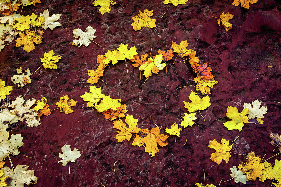 I Love Autumn #1 Photograph by Dennis Swena