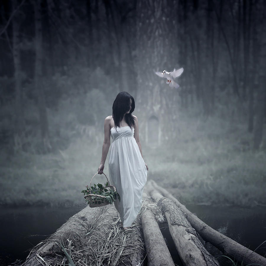 Fairy Photograph - I Will Go To.... #1 by Achmad Kurniawan