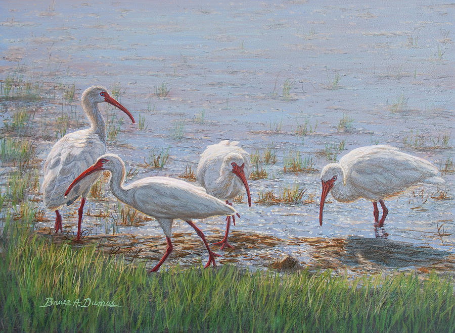 Bird Painting - Ibis Excursion #1 by Bruce Dumas