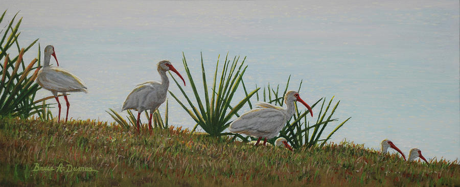 Bird Painting - Ibis Outing #1 by Bruce Dumas