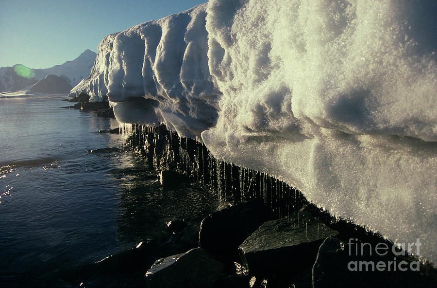 Ice Cliffs #1 Photograph by British Antarctic Survey/science Photo Library
