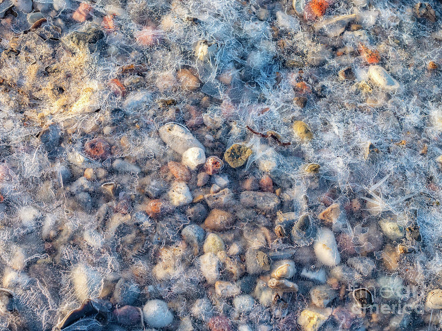 Ice Crystals On A Stony Wet Ground On A Clear Morning Photograph