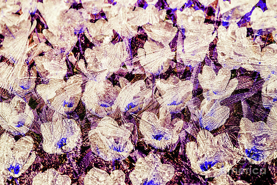 Ice flowers Digital Art by Patricia Hofmeester