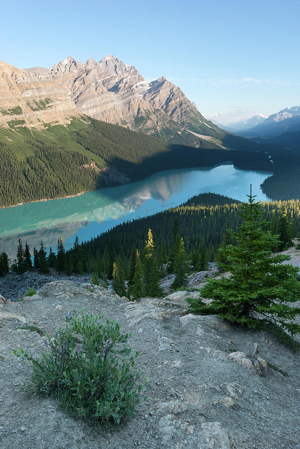 Icefields Parkway, Bow Pass, Peyto Lake #1 Photograph by John Elk Iii