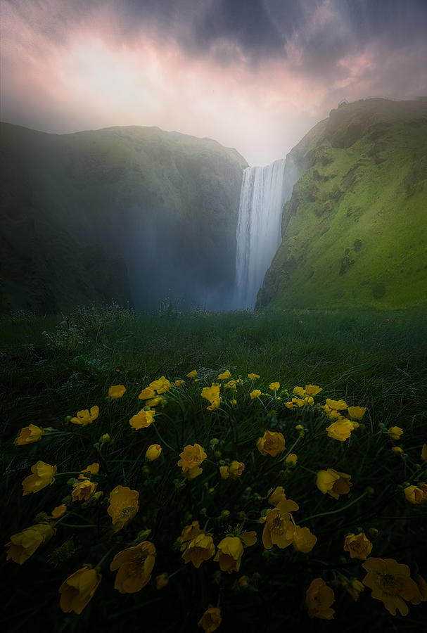 Iceland In Summer #1 Photograph by Yun Thwaits