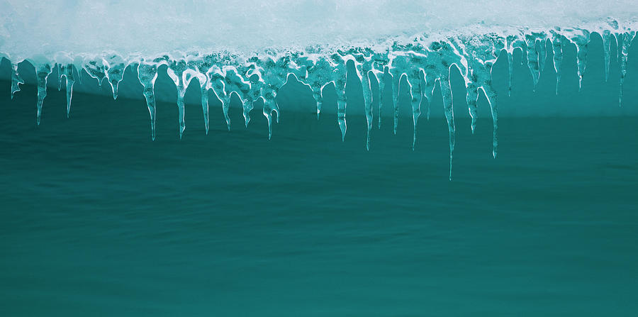 Icicles Hanging From An Iceberg #1 Photograph by Mint Images/ Art Wolfe