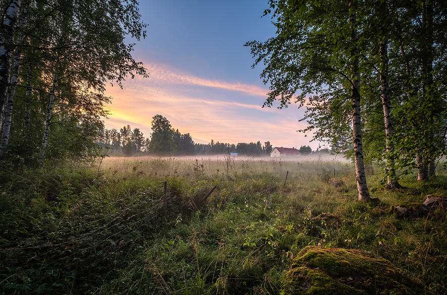 Summer Photograph - Idyllic Farmland View With Mist #1 by Jani Riekkinen