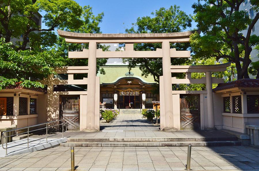 Ikasuri-jinja, torii - Ikasuri Zama Shrine, Chuo, Osaka, Japan #1 Painting by Celestial Images