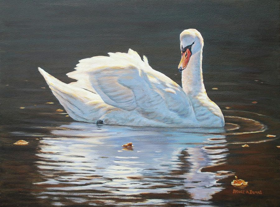 Bird Painting - Illuminated Swan #1 by Bruce Dumas