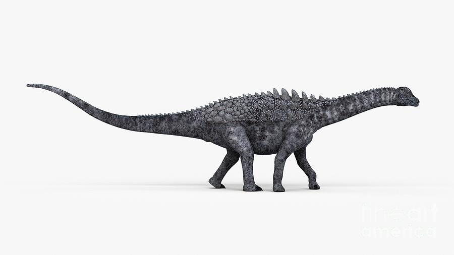 Prehistoric Photograph - Illustration Of A Ampelosaurus #1 by Sebastian Kaulitzki/science Photo Library