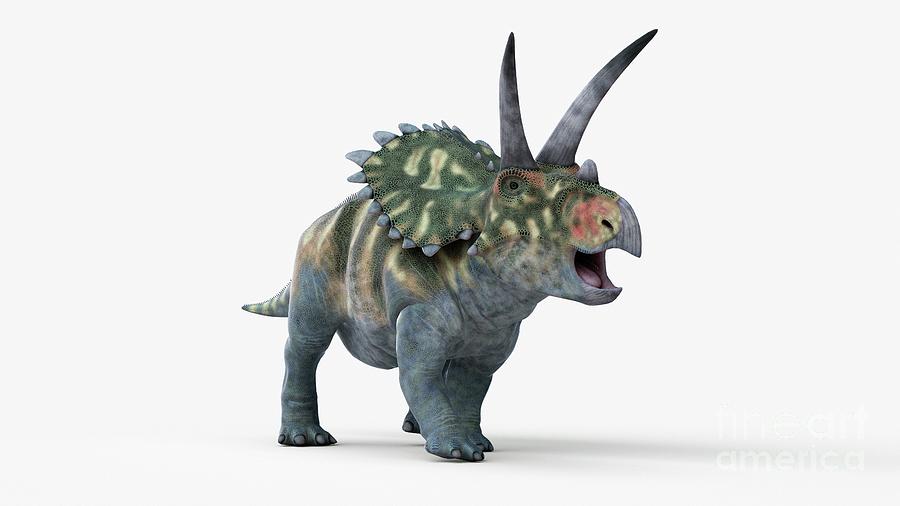 Coahuilaceratops