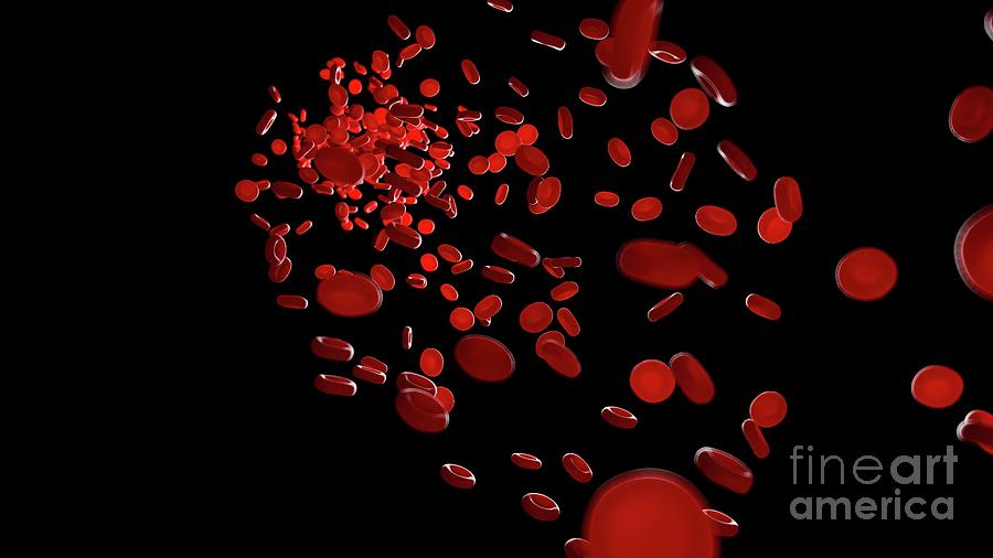 Blood Photograph - Illustration Of Blood Cells Inside An Artery by Sebastian Kaulitzki/science Photo Library Blood Photograph - Illustration Of Blood Cells Inside An Artery by Sebastian Kaulitzki/science Photo Library