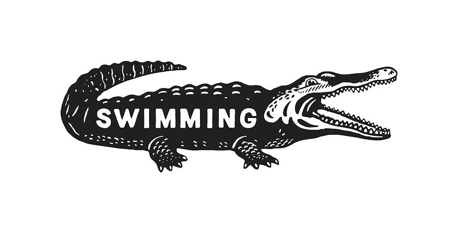 Alligator Drawing - Illustration of crocodile with Swimming text written on it #1 by CSA Images