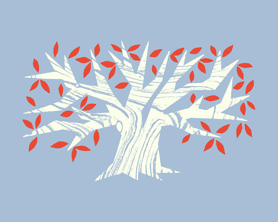 Illustration of tree Drawing by CSA Images
