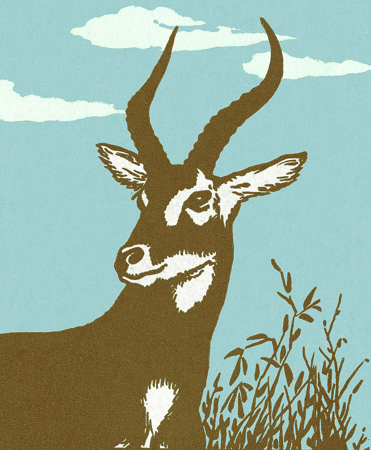 Nature Drawing - Impala #1 by CSA Images