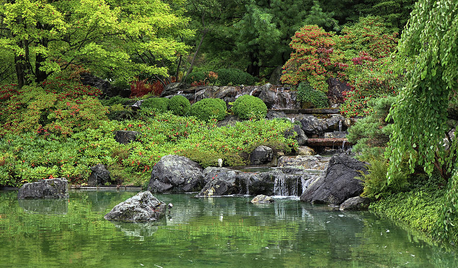 In a Japanese Garden #1 Photograph by Dave Mills - Pixels