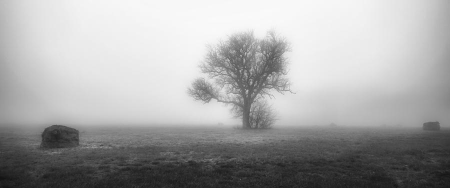 In The Fog And In The Middle Of The Fields #1 Photograph by Av Peteghium