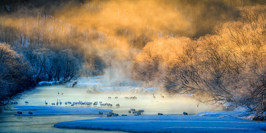 Winter Photograph - In The Morning Glow #1 by Hung Tsui