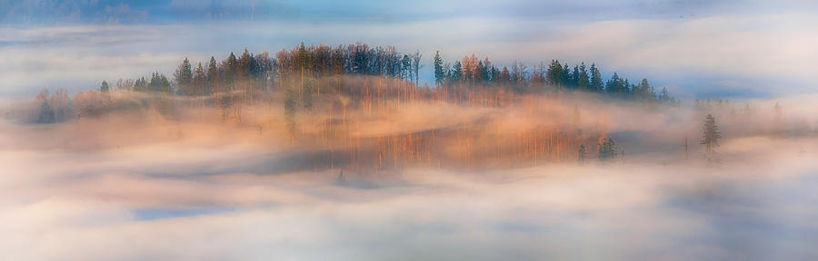 In The Morning Mists #1 Photograph by Piotr Krol (bax)