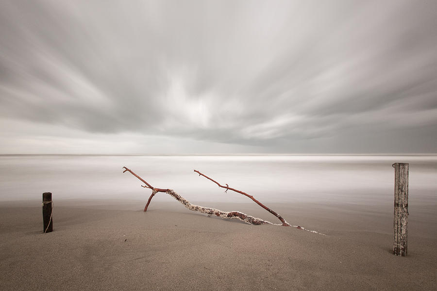 Landscape Photograph - In The Wind #1 by Massimo Della Latta