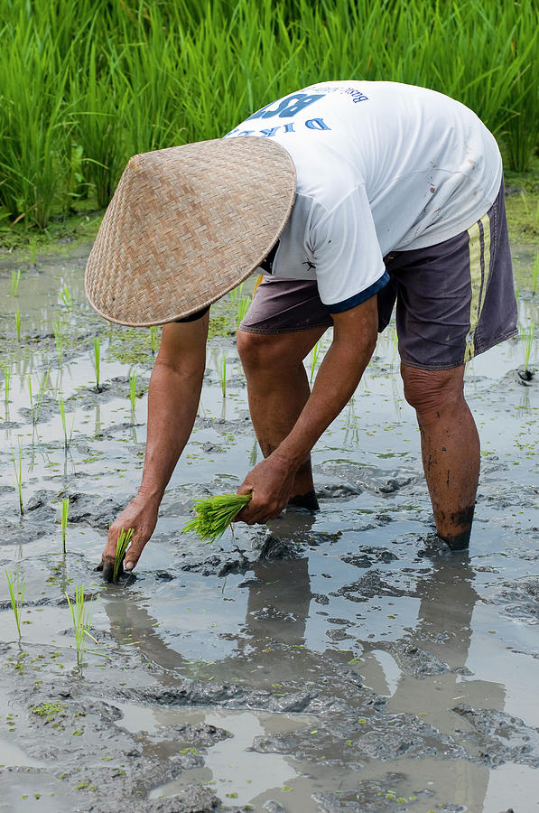 Indonesia Bali Tabanan Tunjuk