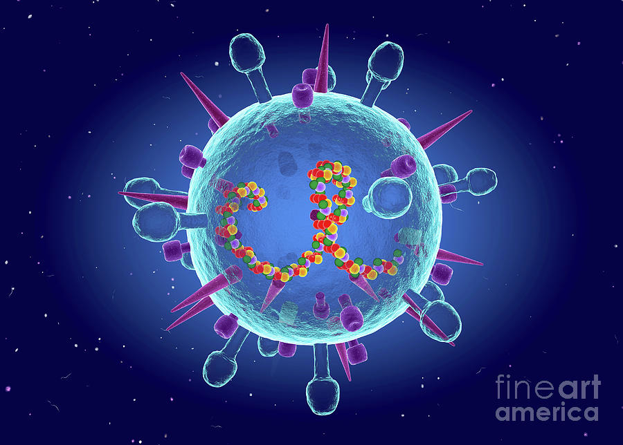 Influenza B Virus Photograph By Roger Harris/science Photo Library