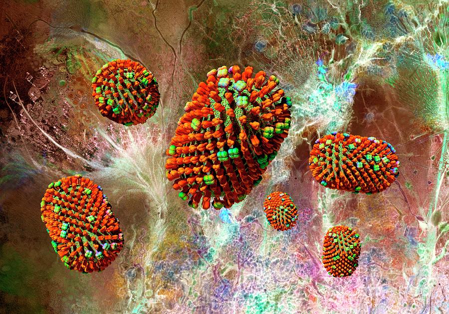 Influenza Virus Particles #1 Photograph by Russell Kightley/science Photo Library