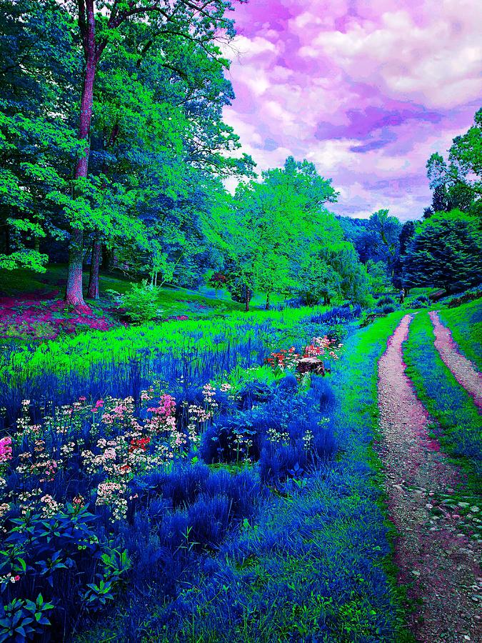 Innisfree Garden Photograph by Risa Johnson Fine Art America