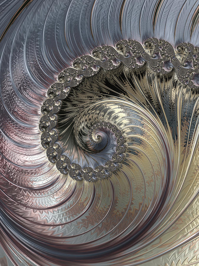 Inside a Seashell by Erika Fawcett Inside a Seashell by Erika Fawcett