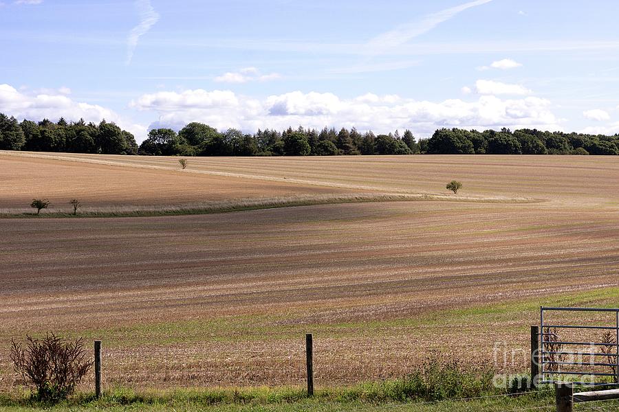 Wildlife Photograph - Intensive Farming In Arable Landscapes. #1 by Sheila Terry/science Photo Library