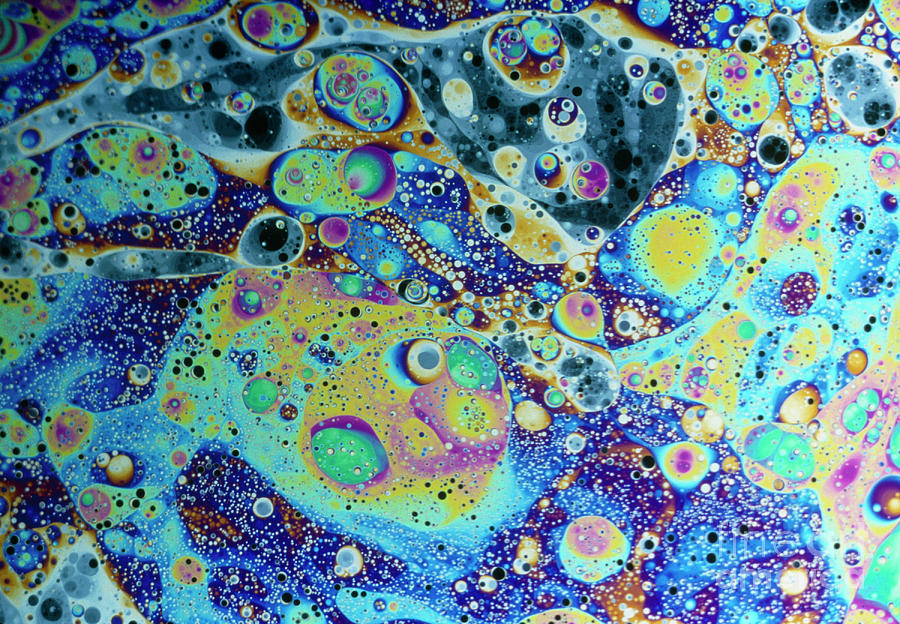 Interference Pattern From Oil On Water #1 Photograph by British Technical Films/science Photo Library