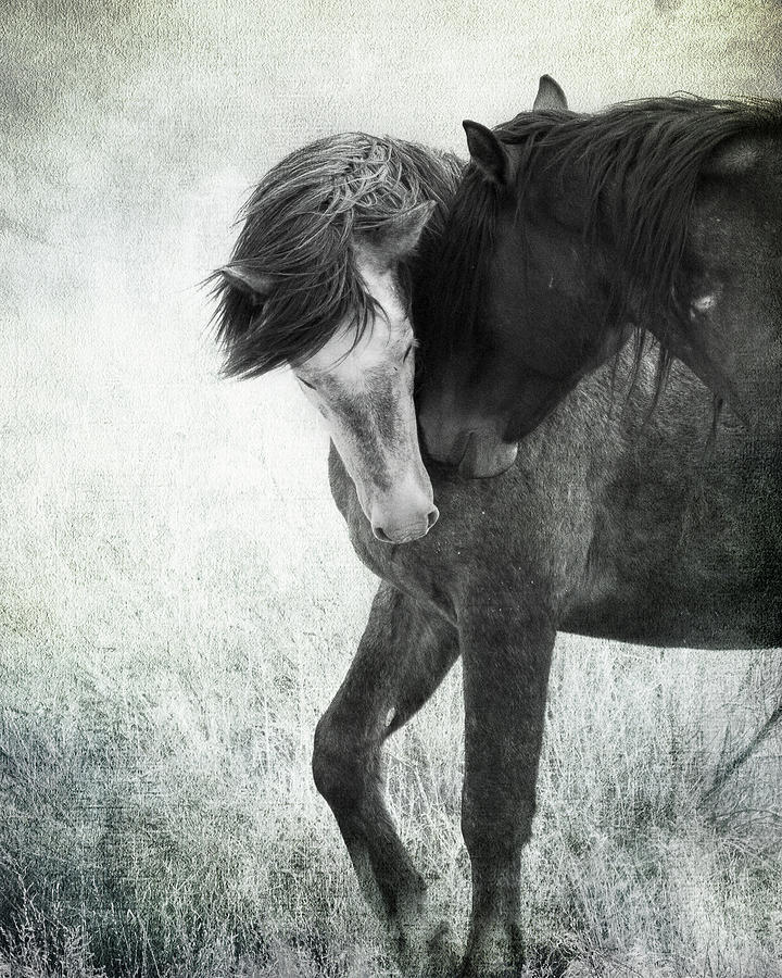 Intimacy before battle by Mary Hone Intimacy before battle by Mary Hone
