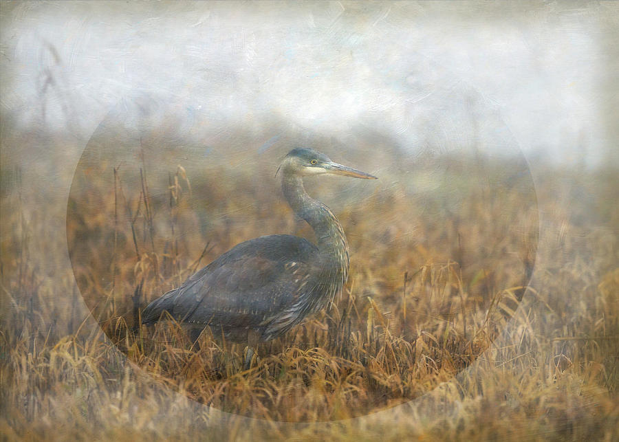 Heron Photograph - Into the Fog #1 by Angie Vogel