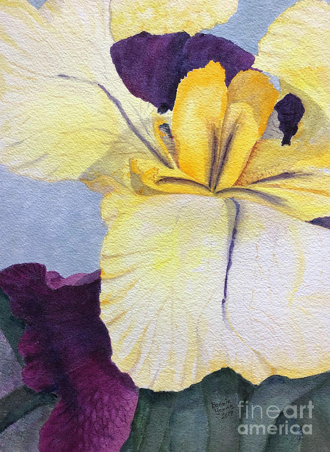 Iris #1 Painting by Bonnie Young