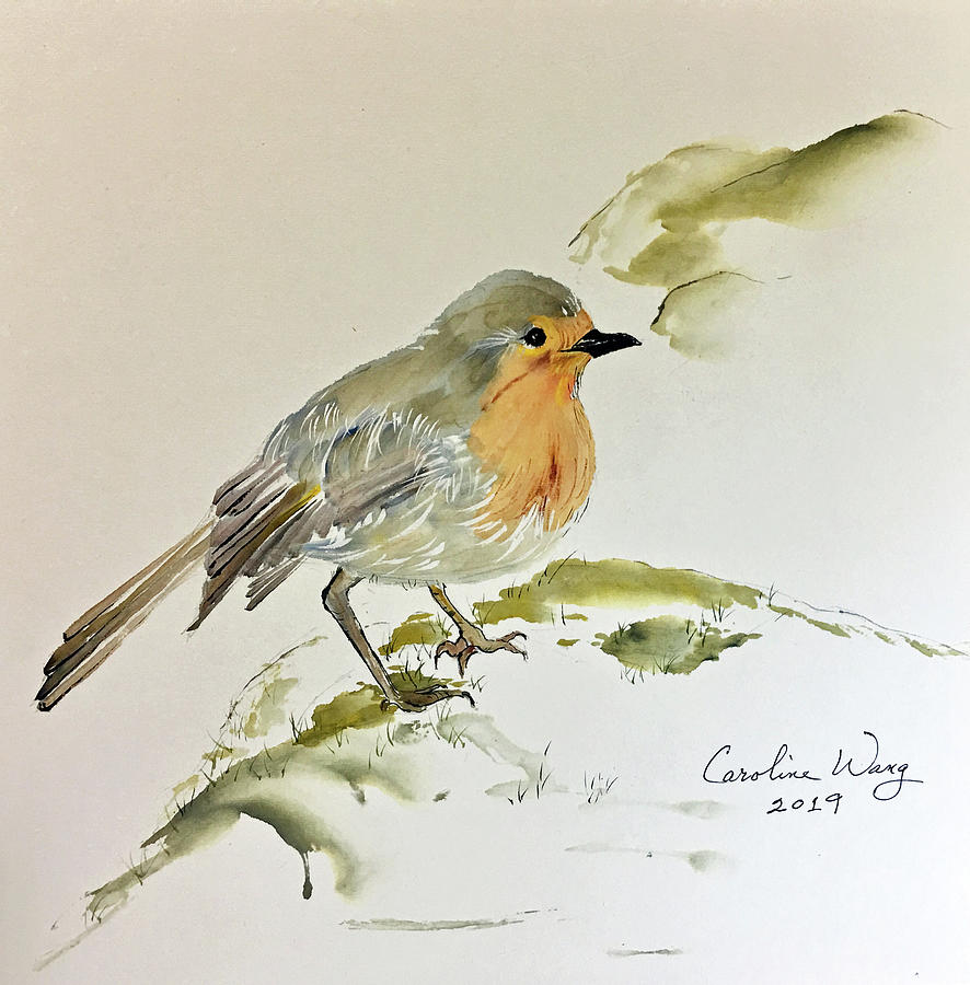 Irish Robin Painting by Caroline Wang - Pixels