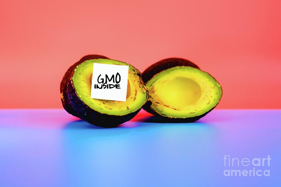 Isolated fruit on flat background labeled with genetically modified food warning sticker. #1 Photograph by Joaquin Corbalan