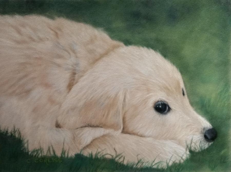 It Wasnt Me Pastel by Carol Corliss