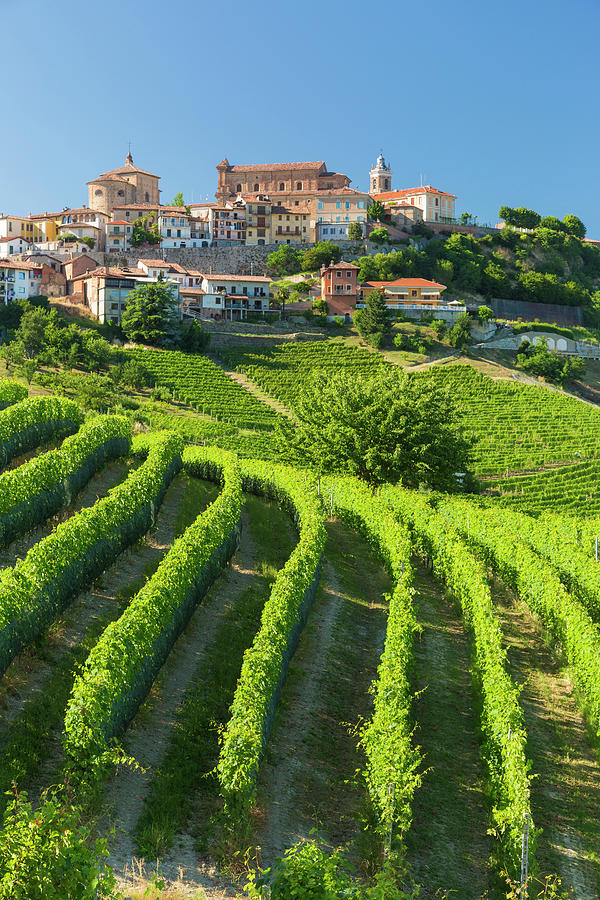 Italy, Piedmont, Cuneo District, Colline Del Barolo, Langhe, La Morra, The Nebbiolo Vineyards Surround The Village Of La Morra #1 Digital Art by Marco Arduino