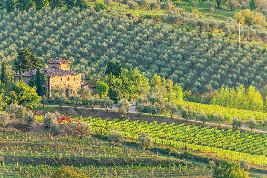 Italy, Tuscany, Firenze District, Chianti, Panzano In Chianti, A Beautiful Villa Surrounded By Vineyards And Olive Groves #1 Digital Art by Stefano Coltelli