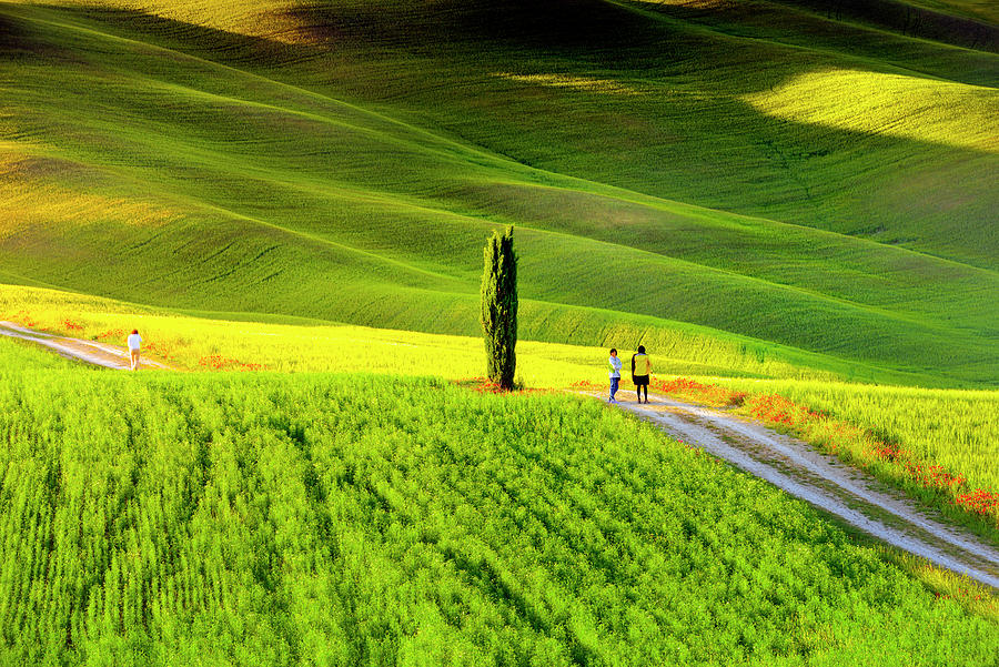 Italy, Tuscany, Siena District, Orcia Valley, The Tuscan Landscape Lit By Late Evening Sunlight #1 Digital Art by Francesco Carovillano