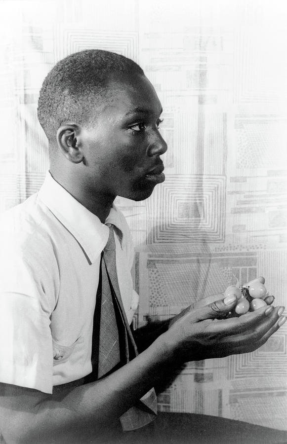 Jacob Lawrence, American Artist #1 Photograph by Science Source