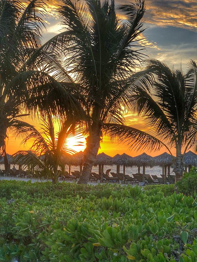 Jamaica Sunset Photograph by William E Rogers | Fine Art America