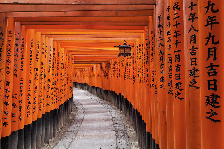 Japan, Kansai, Kyoto, Shrine #1 Digital Art by Tim Draper