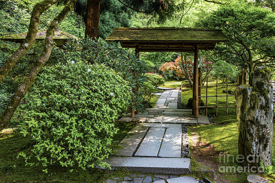 Japanese Garden Gate #2 Photograph by Thomas Marchessault