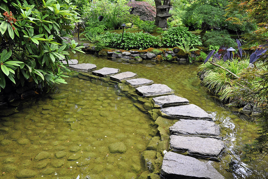 Japanese garden pond Photograph by Ingrid Perlstrom - Fine Art America