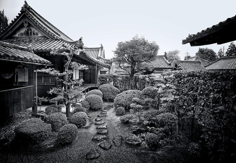 Black And White Photograph - Japanese Garden #2 by Wayne Sherriff
