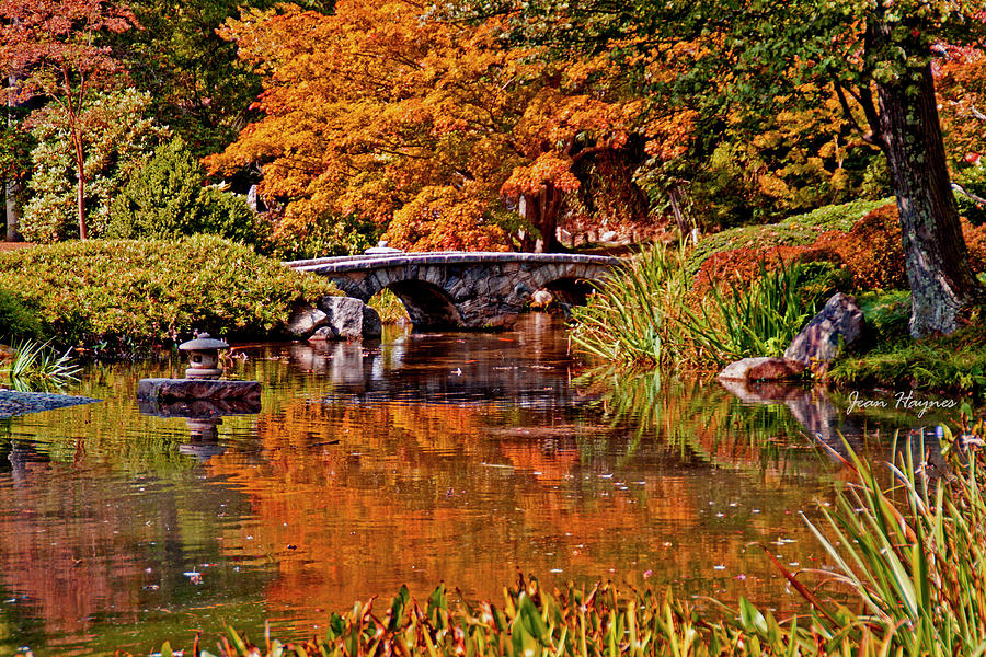 Japanese Gardens at Maymont Photograph by Jean Haynes - Pixels